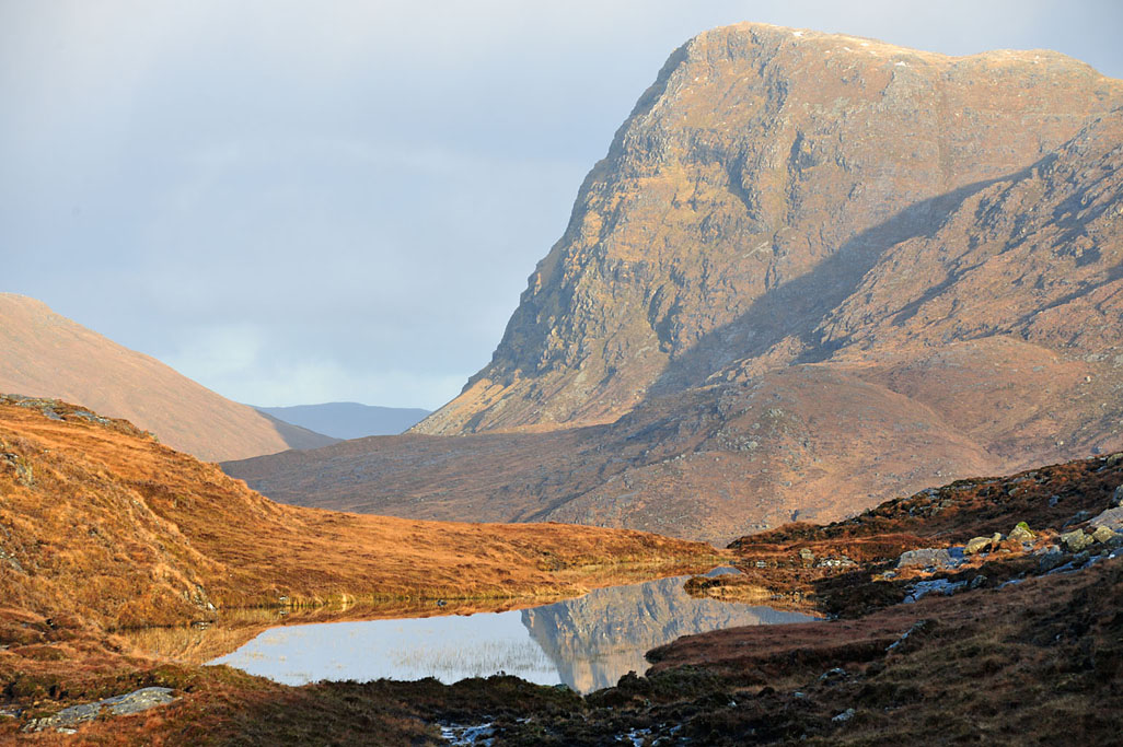 north harris 8058  HARRIS GALLERY.jpg